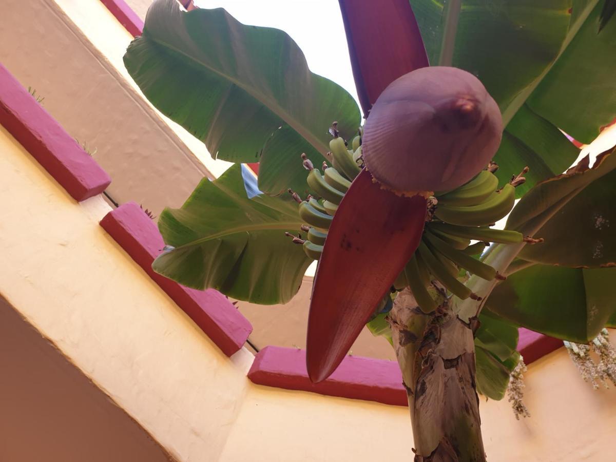 มารีโน เตเนริเฟ Aparthotel อาโรนา ภายนอก รูปภาพ